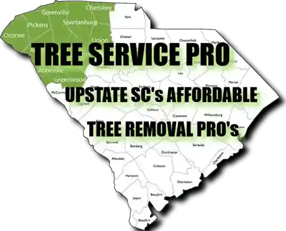 Affordable Tree Service in Greer - Tree Removal Near Me - SC