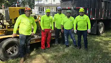 Tree-Service-Pro - A Team - Affordable Tree Removal Professionals